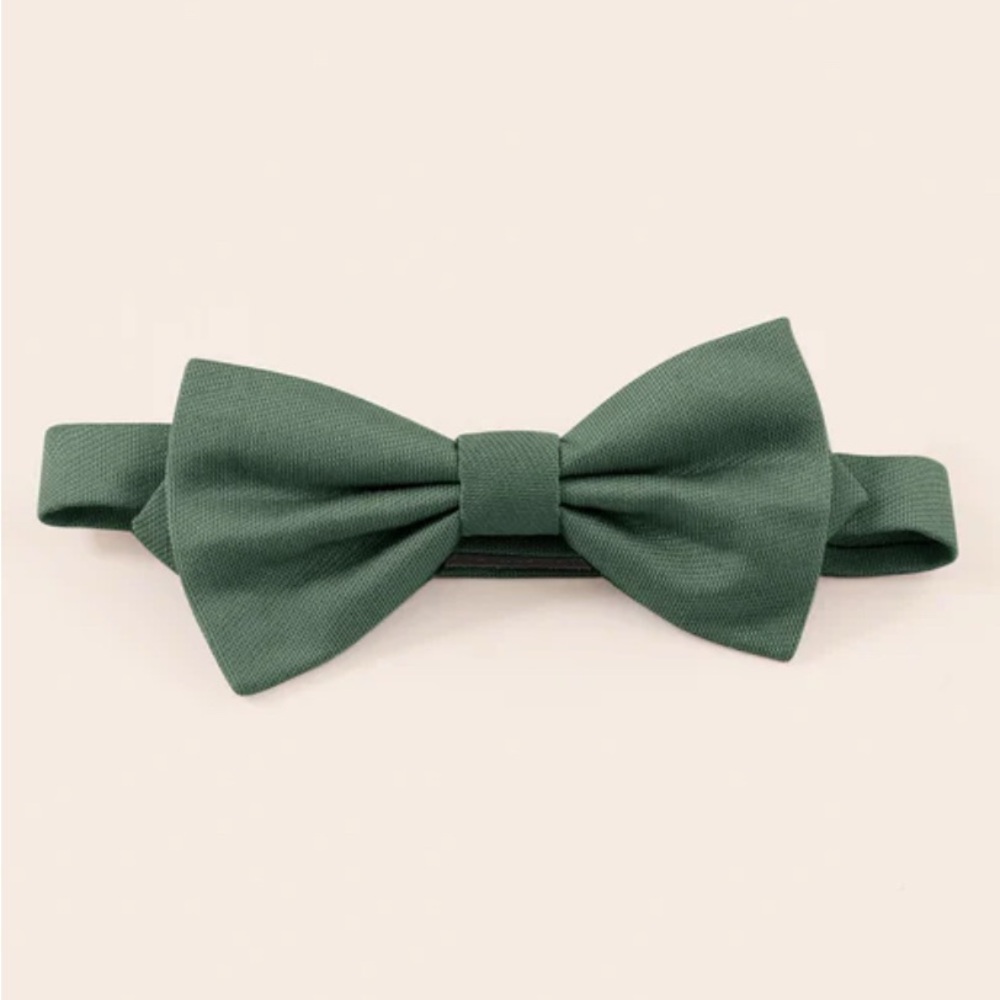 3 Eucalyptus Birdy Grey Kids Bow Tie